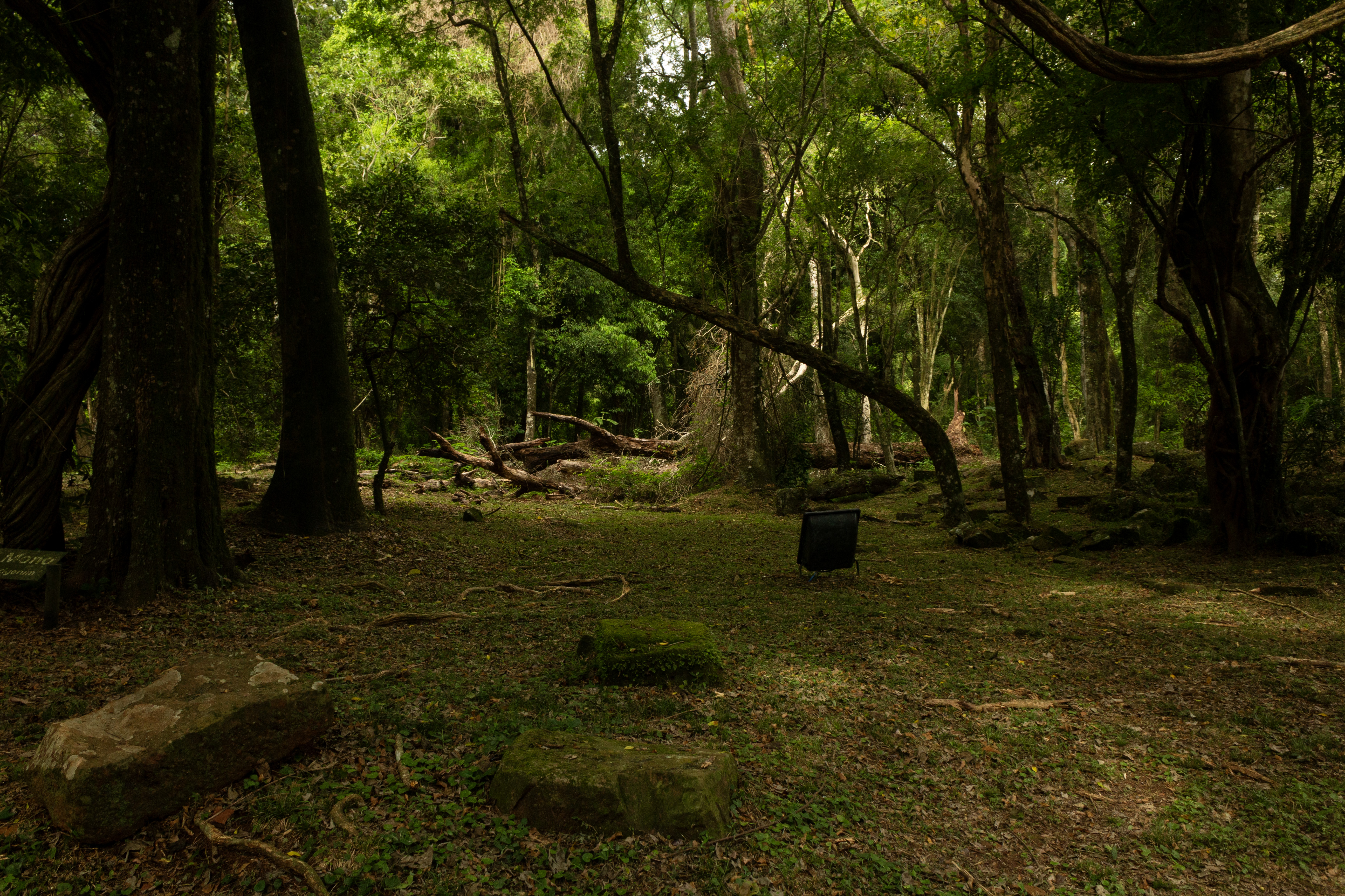 RUINAS